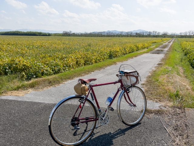 秋の自転車旅