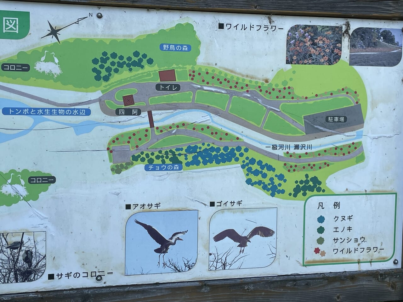 美穂ヶ池市民緑地