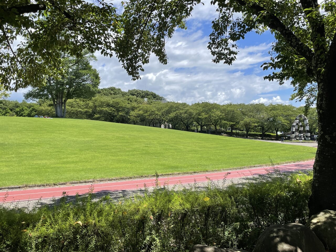 東御中央公園の芝生広場