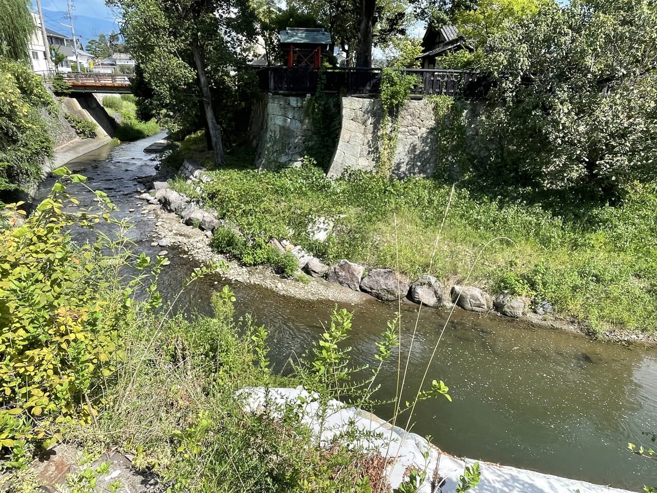 矢出沢川と丸山邸