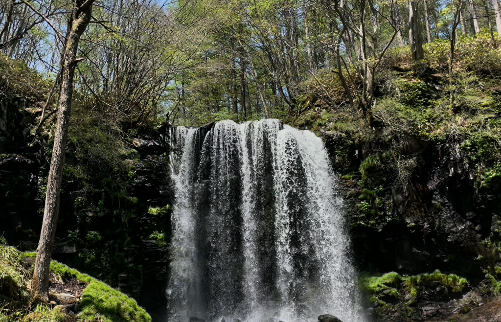 唐沢の滝