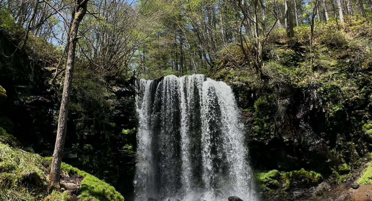 唐沢の滝