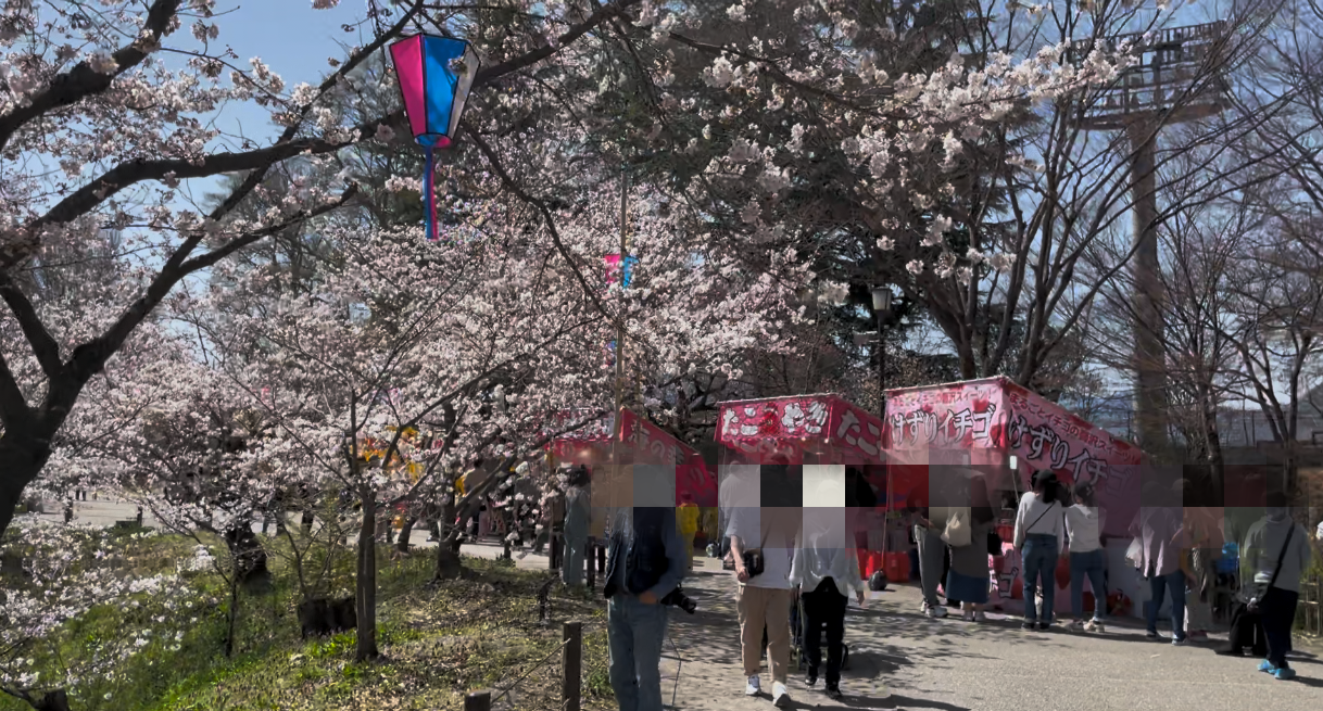 過去の千本桜まつり