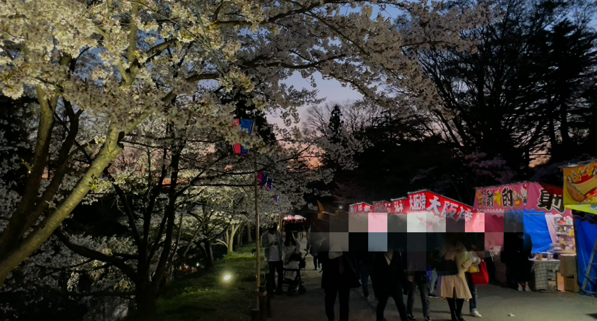 過去の千本桜まつり