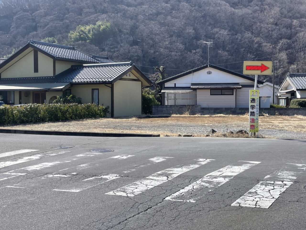 横断歩道