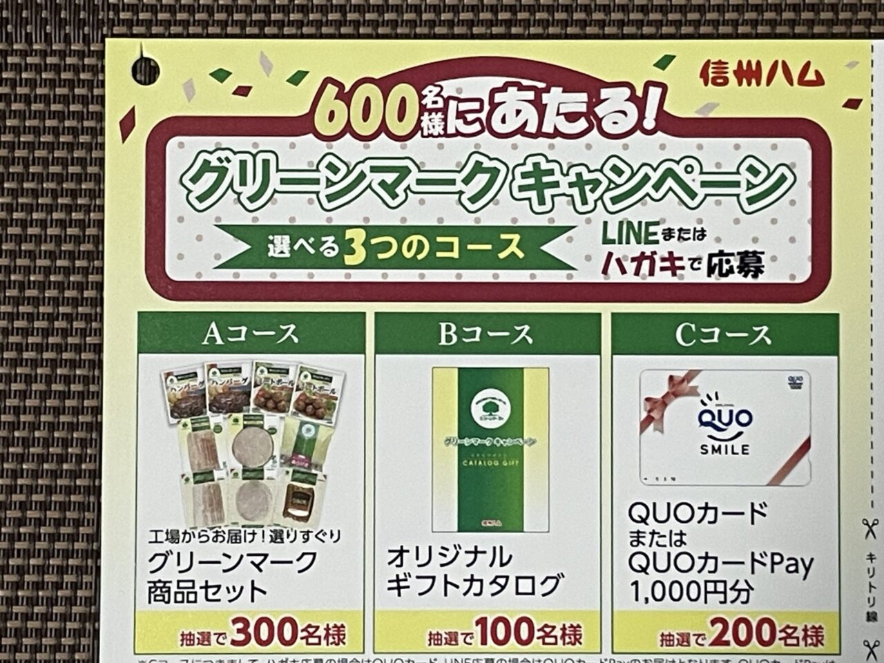 キャンペーン情報