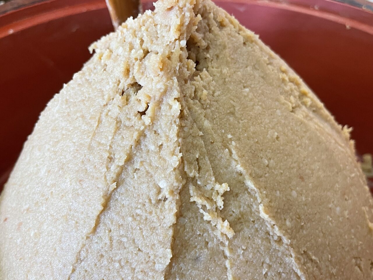 信州イゲタ味噌