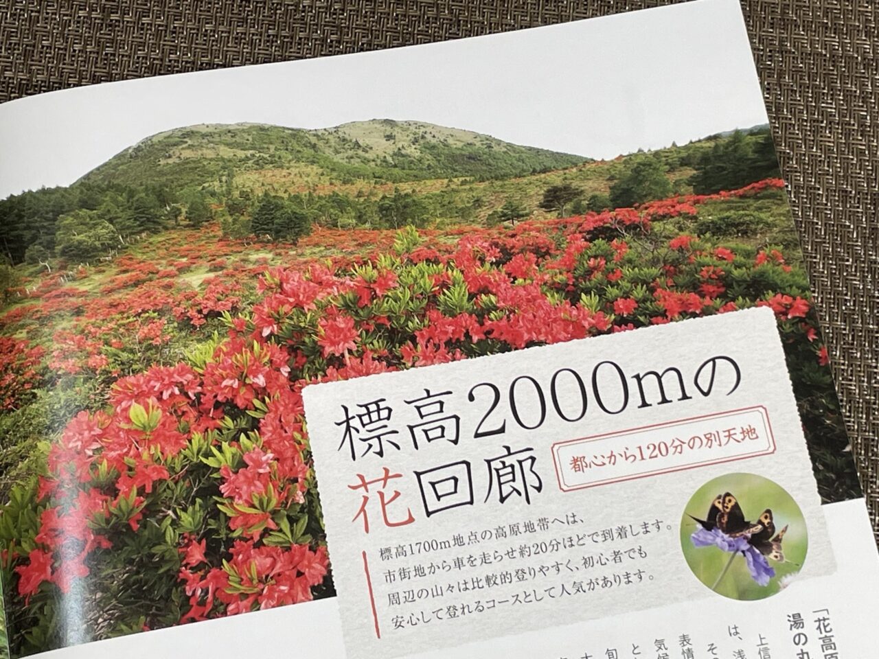 湯の丸パンフレット