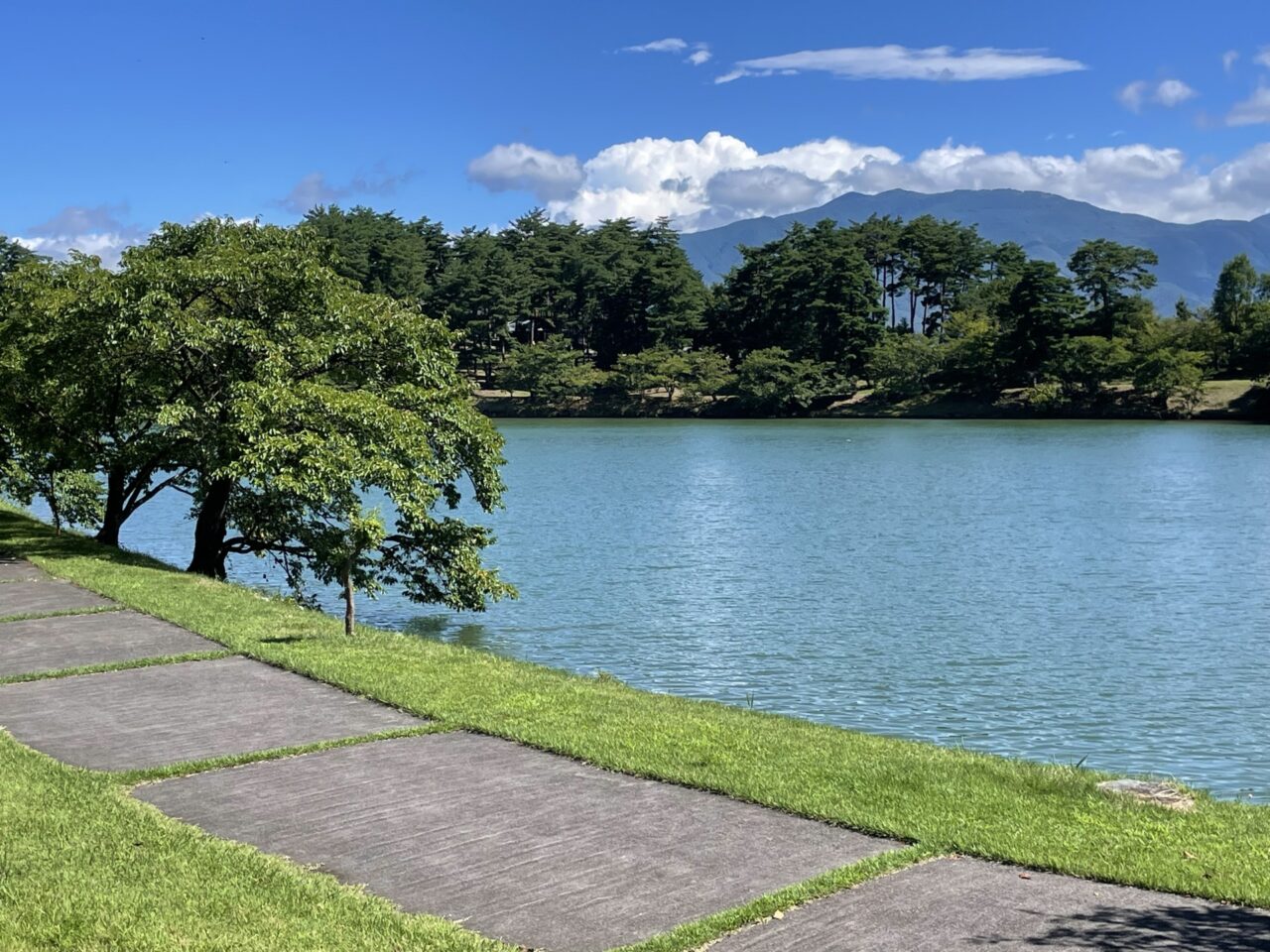 芸術むら公園
