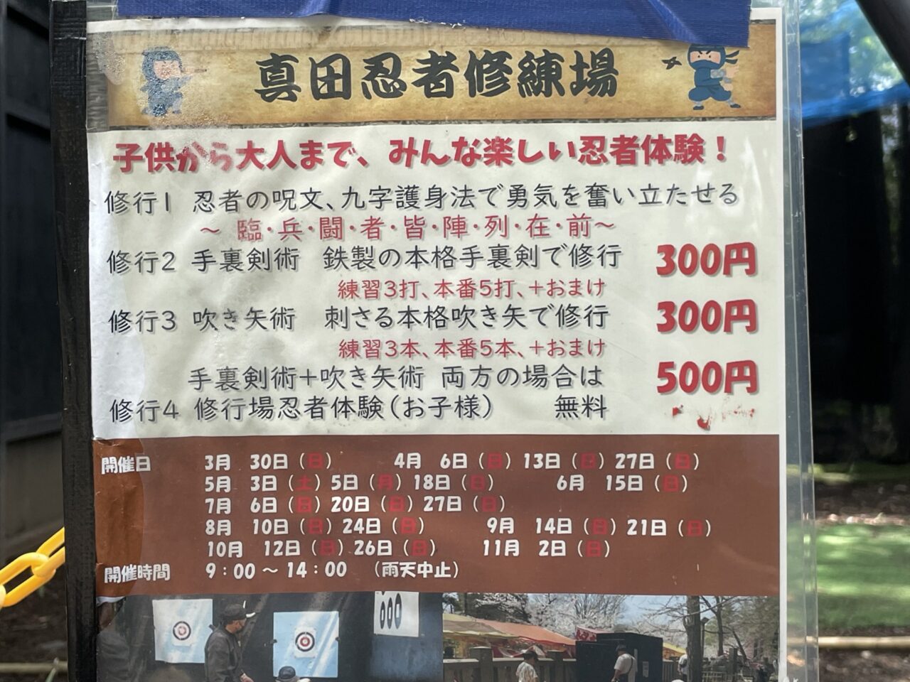 料金表とスケジュール