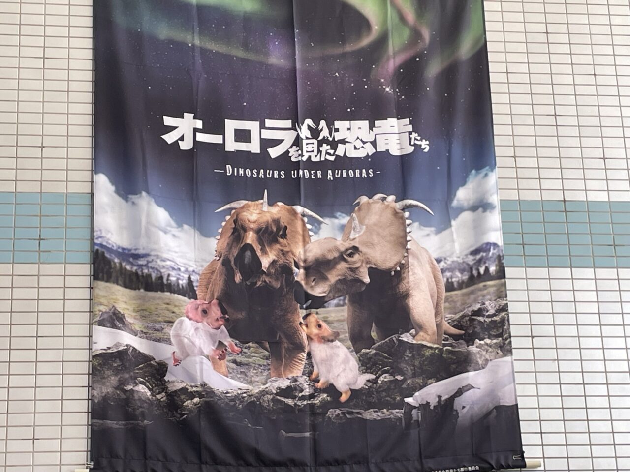 プラネタリウムのタペストリー