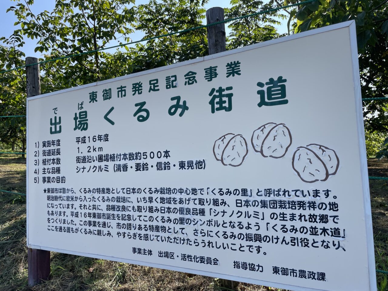 くるみ街道