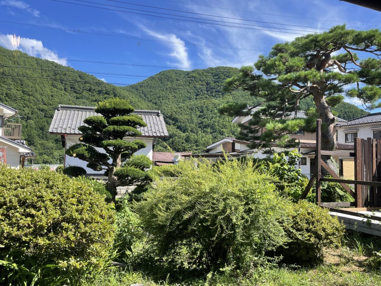 席からの眺望
