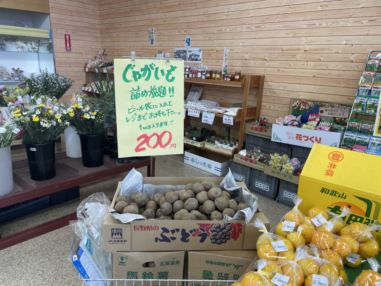 いずみの里の詰め放題