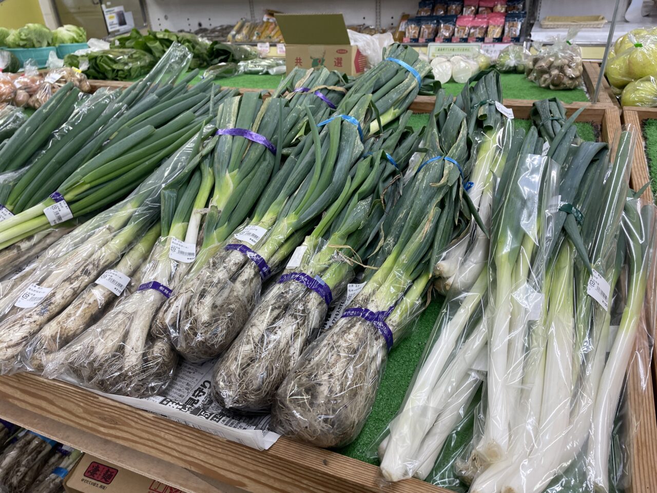 いずみの里のねぎ